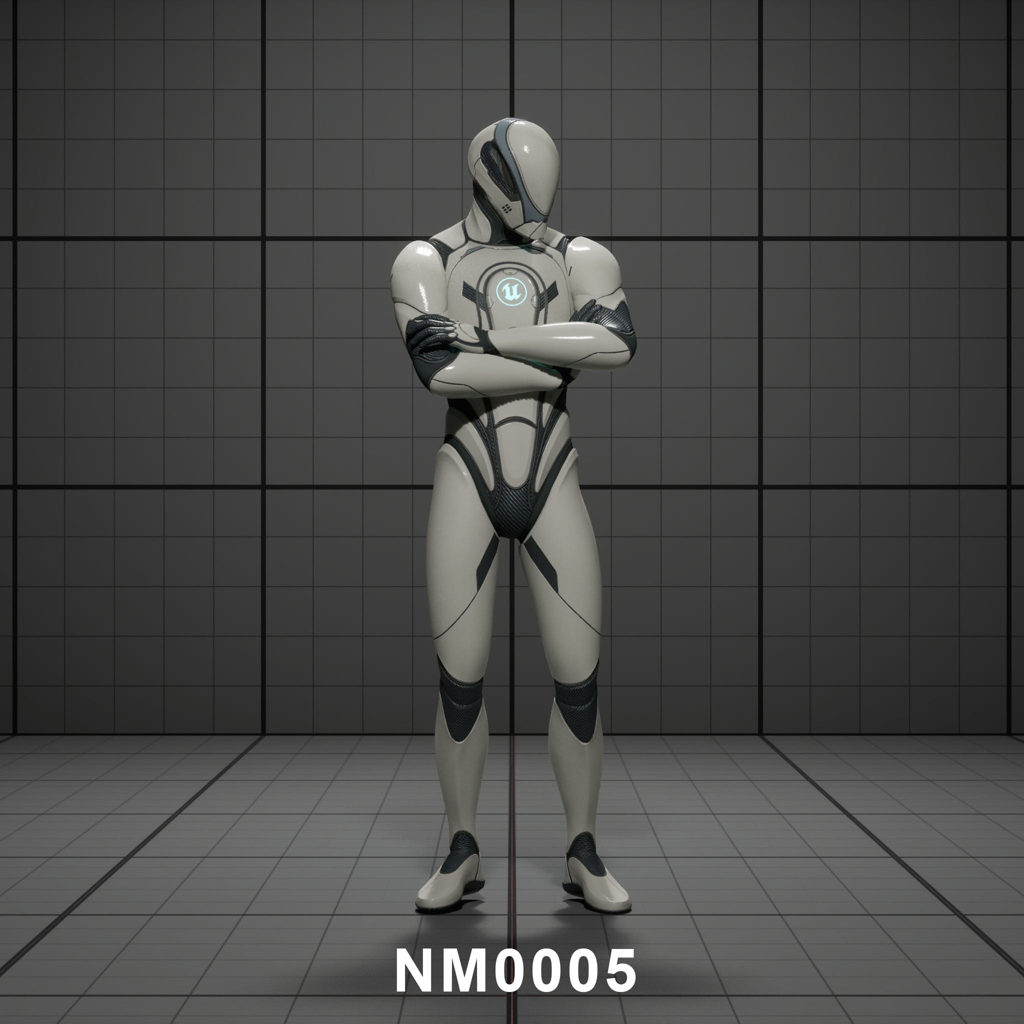 NM0005 | Guard Listens and Lets You In
