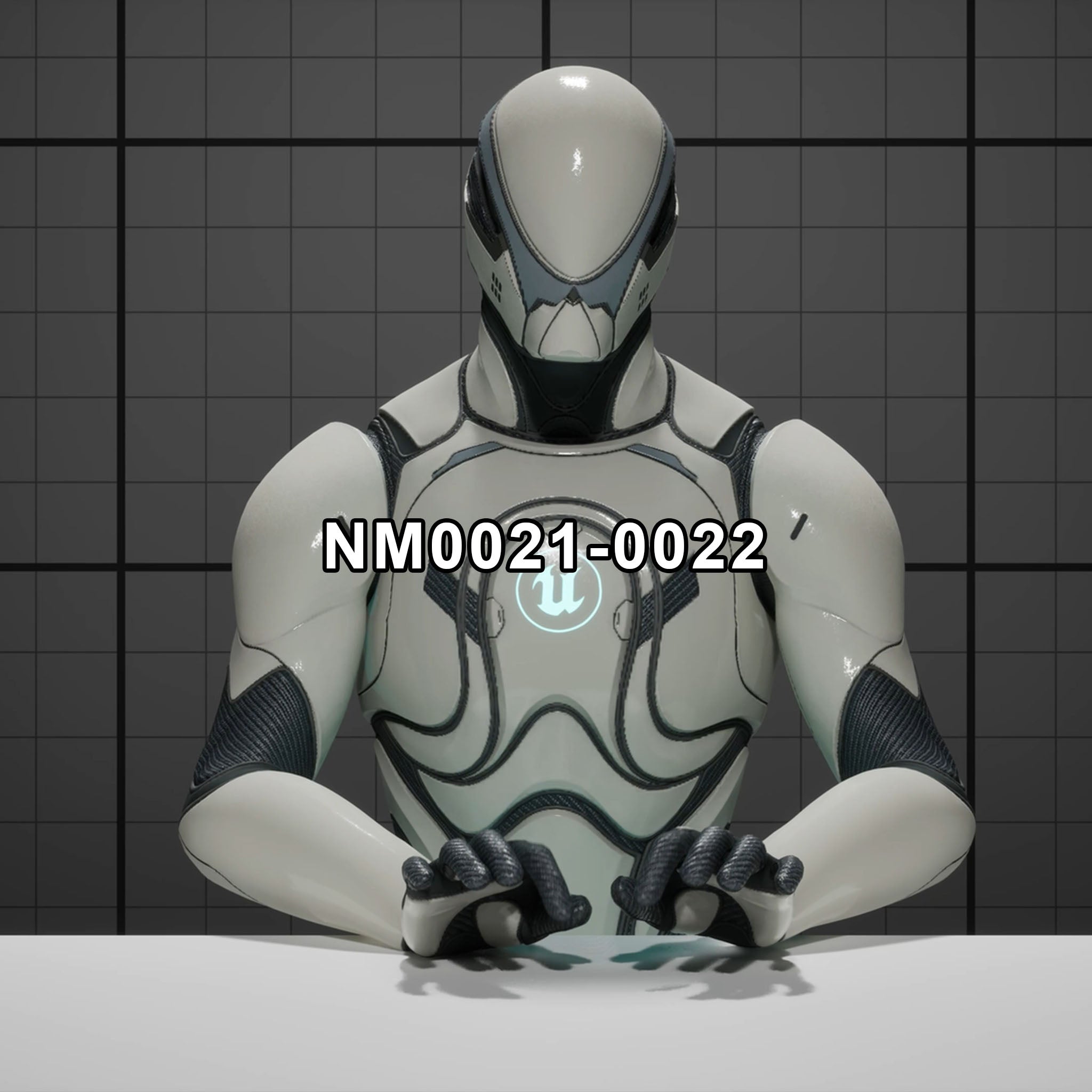 NM0021-0022 | Sit Type