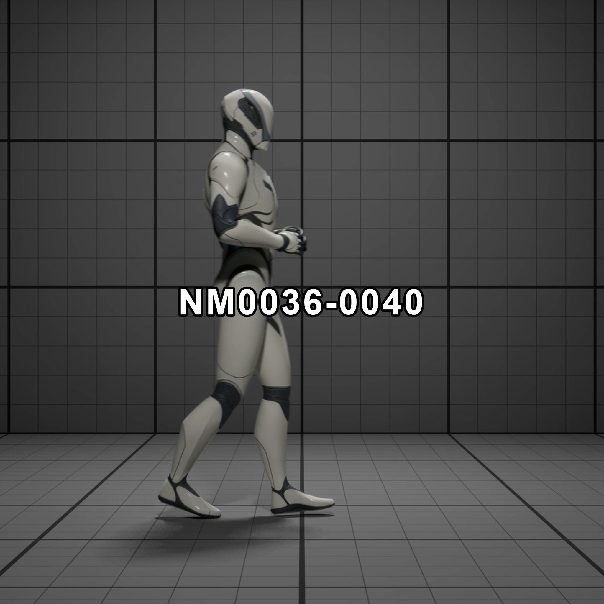 NM0036-0040 | Calm Walk